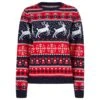 Womens Traditional Reindeer Christmas Jumper -Halloween Supply Store 3A190161A 1.opt