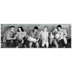 Clementoni TV Series Panoramic Image Jigsaw Puzzle Friends GOT 1000 Pieces -Halloween Supply Store GRA39588 6347 2 opt