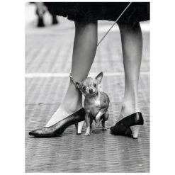 Clementoni Life Magazine Cover Photo Jigsaw Puzzle Black White 1000 Pieces -Halloween Supply Store GRA39634 6347 2 opt