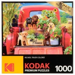 Kodak Premium Jigsaw Puzzle Bright Colour 1000 Pieces Age 10+ -Halloween Supply Store GRA8700 6306 AM I 1 opt