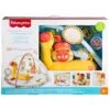 Fisher Price Go Wild Gym & Giraffe Wedge Mat Music Light -Halloween Supply Store GRAGMG07 5960 9655 1 opt