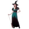 Womens Emerald Witch Costume Sequin Green Black Dress Hat Belt -Halloween Supply Store HF 5149 1a opt