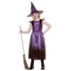 Girls Deluxe Enchanting Witch Costume Black Purple Dress Hat -Halloween Supply Store HG 6067 1 opt