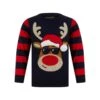 Kids LED Reindeer Christmas Jumper With Light Up Shades