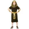 Boys Egyptian Pharaoh King Gold Black Halloween Costume