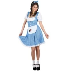 Womens Country Girl Fancy Dress Party Halloween Costume