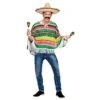 Adults Mexican Bandit Poncho One Size Halloween Costume -Halloween Supply Store WKDEM 3225 1600 1 94697.1496940423.1100.1100