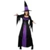 Spellbound Horror Witch Womens Purple Costume Halloween -Halloween Supply Store WKDHF 5048 1600 1 80195.1496940422.1100.1100