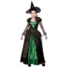 Womens Emerald Green Witch Queen Halloween Party Costume -Halloween Supply Store WKDHF 5079 1600 1 64215.1496940421.1100.1100