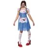 Womens Deceased Dorothy Size Small Fancy Dress Costume 1 Womens Deceased Dorothy Size Small Fancy Dress Costume -Halloween Supply Store WKDHF 5090 1600 1 36329.1496995074.1100.1100