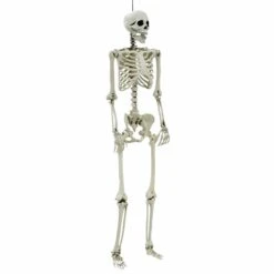 Life Size Poseable Skeleton Halloween Decoration Party Prop 152cm -Halloween Supply Store XS7424 1 opt