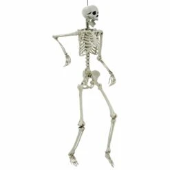 Life Size Poseable Skeleton Halloween Decoration Party Prop 152cm -Halloween Supply Store XS7424 2 opt