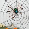 Large Spider LED Body Halloween Party Decoration Tarantula 68cm -Halloween Supply Store XS7425 LS 1 opt