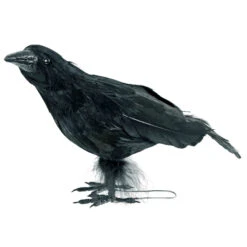 Black Crow Halloween Decoration Bird Realistic Feathers Raven 25cm -Halloween Supply Store XS7435 2 opt