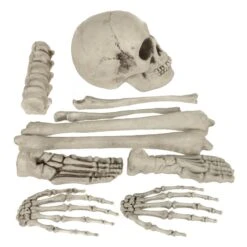 10pc Skeleton Bones Set Graveyard Tomb Props Party Decoration -Halloween Supply Store XS7463 2 opt