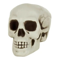 Pack Of 6 Skulls 10cm Plastic Set Halloween Party Decoration -Halloween Supply Store XS7464 2 opt