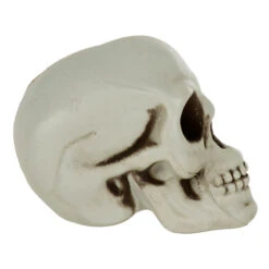 Pack Of 6 Skulls 10cm Plastic Set Halloween Party Decoration -Halloween Supply Store XS7464 3 opt