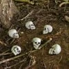 Pack Of 6 Skulls 10cm Plastic Set Halloween Party Decoration -Halloween Supply Store XS7464 LS 1 opt